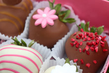 Load image into Gallery viewer, Dreamy Chocolate Trio